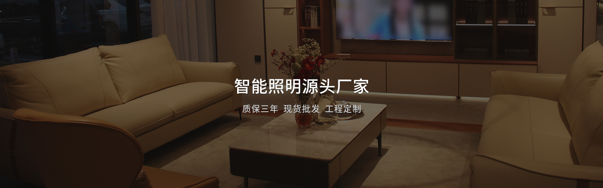 智能照明源头厂家